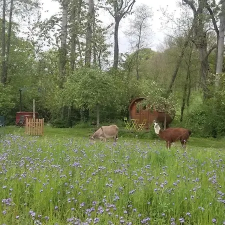 Tonneau Proche Des Plages Du Debarquement