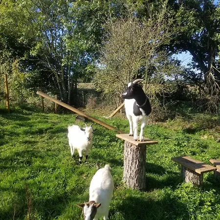 Tonneau Proche Des Plages Du Debarquement * Longraye