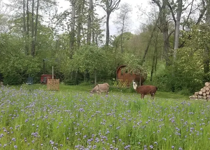 Tonneau Proche Des Plages Du Debarquement