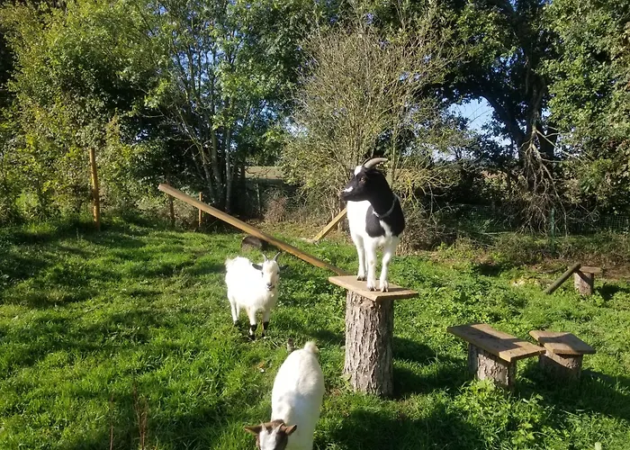 Tonneau Proche Des Plages Du Debarquement * Longraye